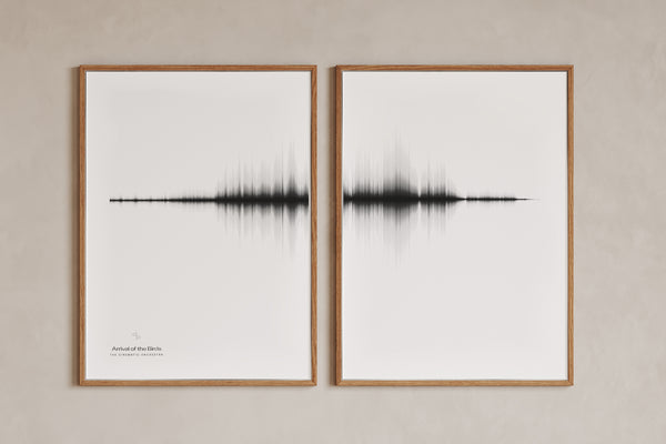 Soundlines Animation SoundLines Soundwave Art